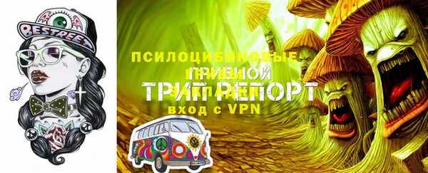 MDMA Белокуриха