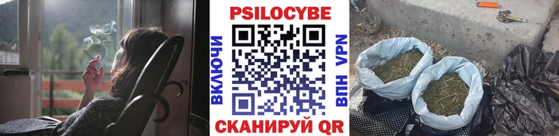 Галлюциногенные грибы Psilocybine cubensis  omg онион  Валуйки  где можно купить  