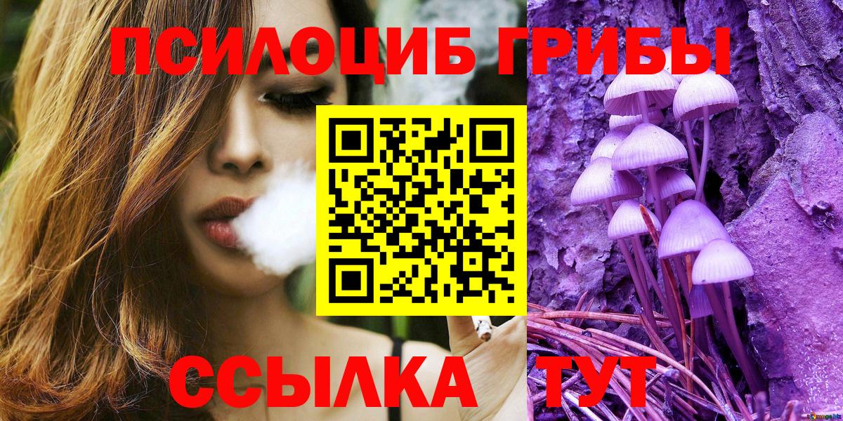 Галлюциногенные грибы Psilocybe  купить наркоту  Валуйки  Псилоцибиновые грибы ЛСД 